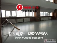 落地固定式舞蹈把桿，一級(jí)加厚鑄鐵的舞蹈把桿，穩(wěn)固安