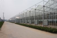 溫室陽光板8mm、10mm陽光板價格